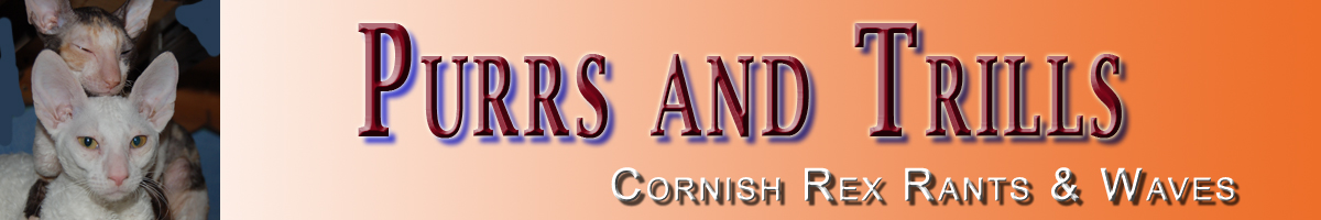Cornish Rex Rants & Waves